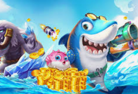 乐竞足球网页登录入口正式版